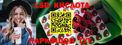 spice Кингисепп