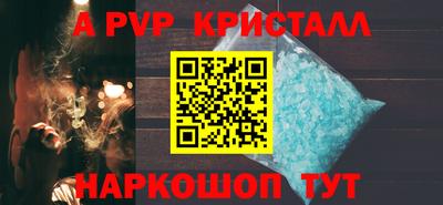 spice Кингисепп
