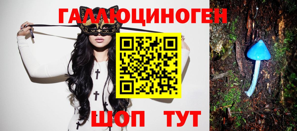 Котлас  Галлюциногенные грибы Cubensis  Вход с VPN 